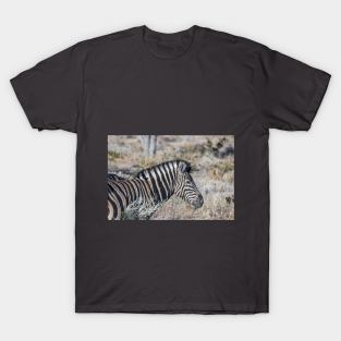 Namibia. Etosha National Park. Zebra. T-Shirt